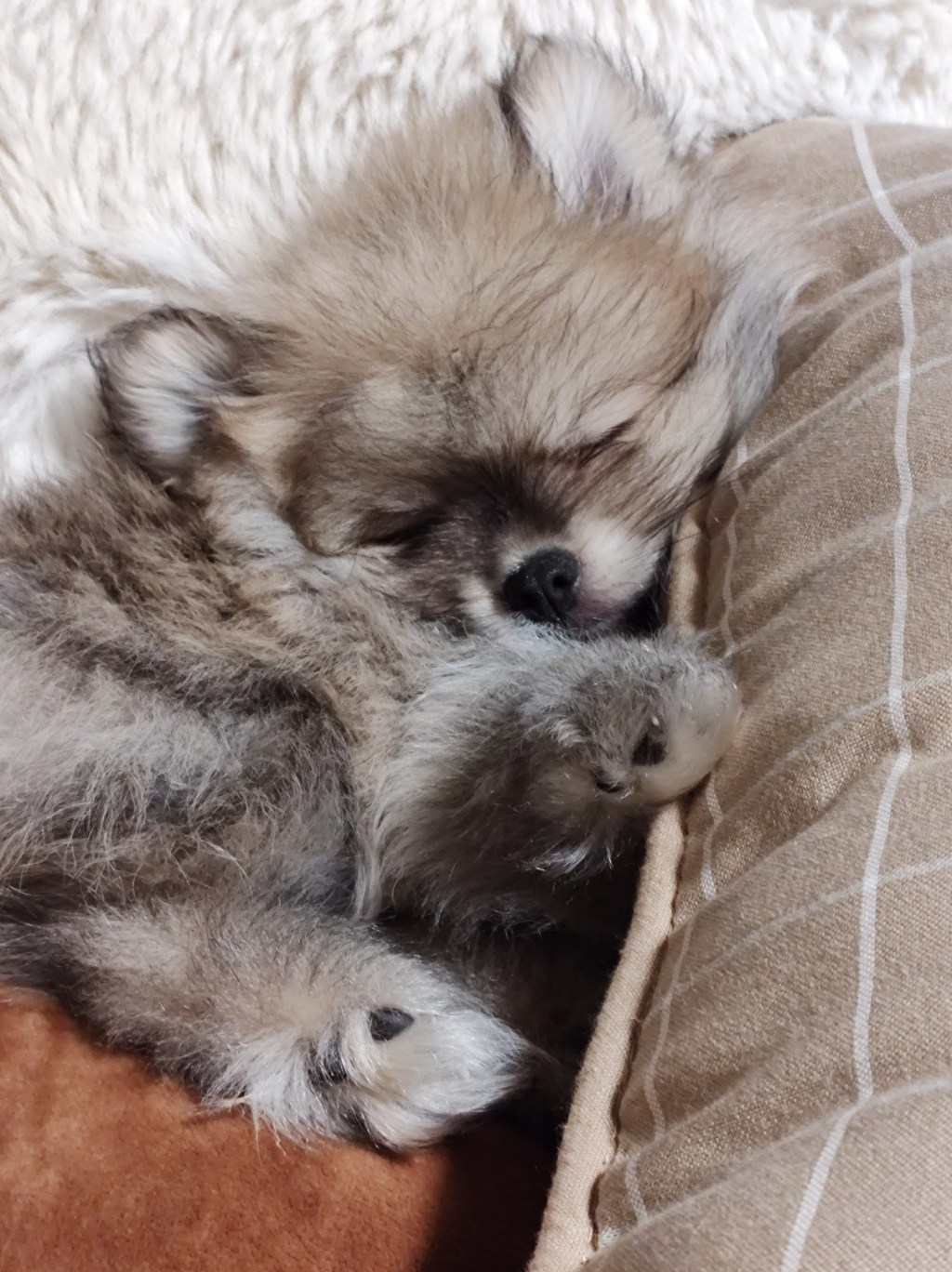 Day 2, Battle of&nbsp;Sleep