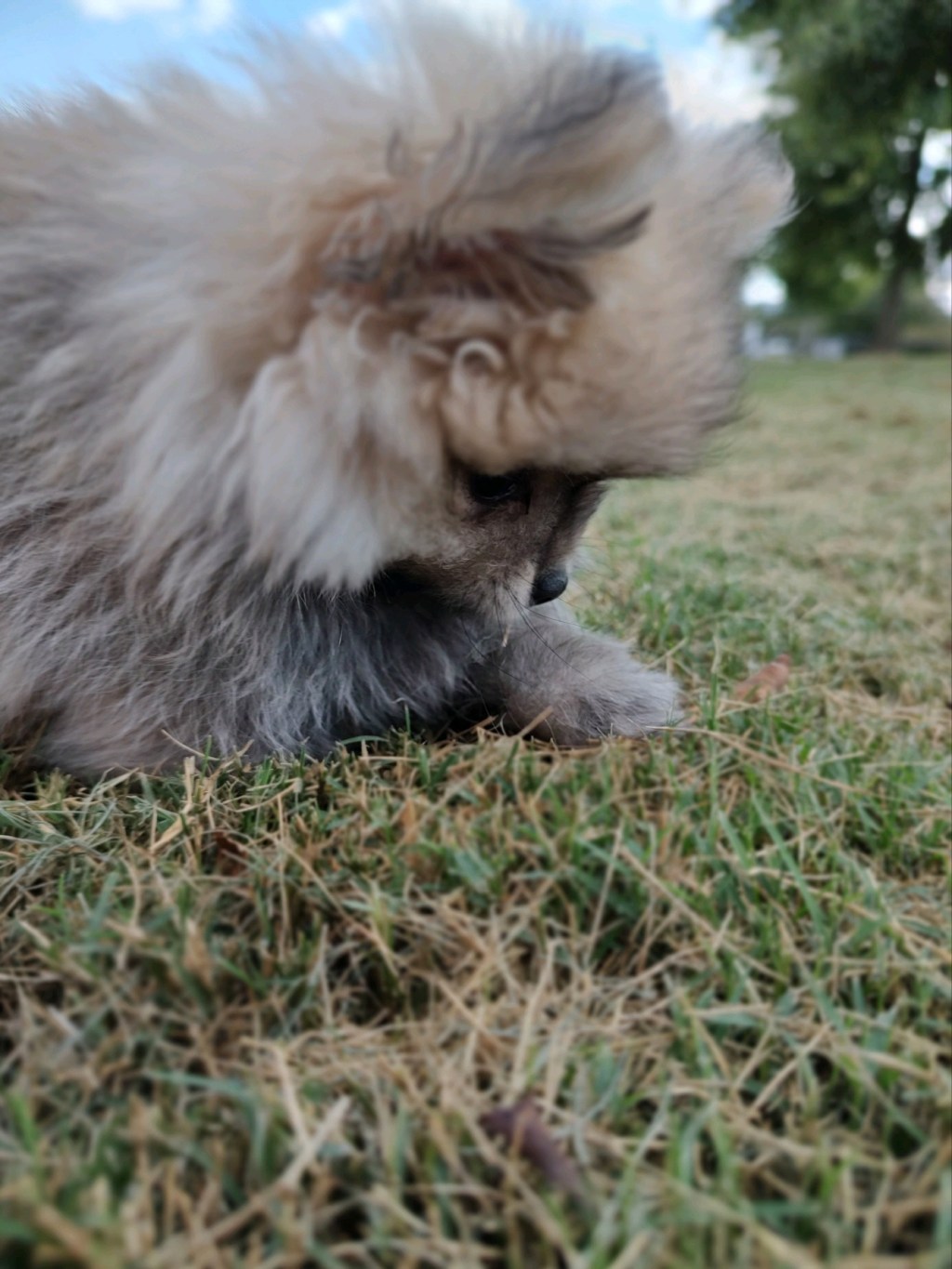 Day 3, Outside in the Grass for the First&nbsp;Time