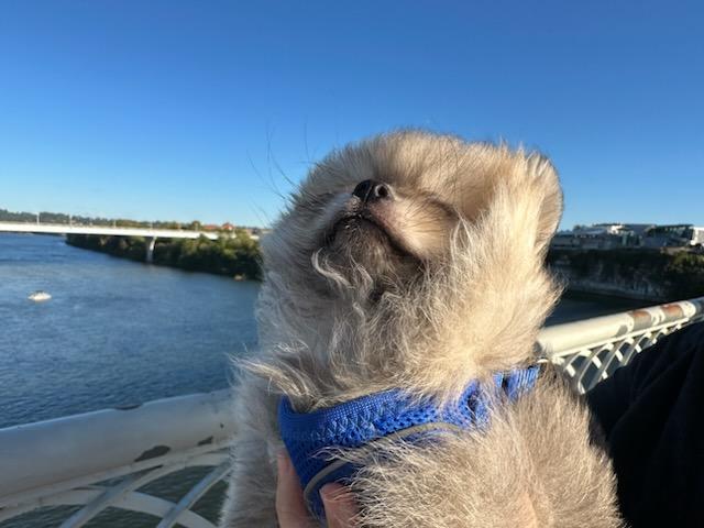 Post 12, Over the Bridge&nbsp;Downtown