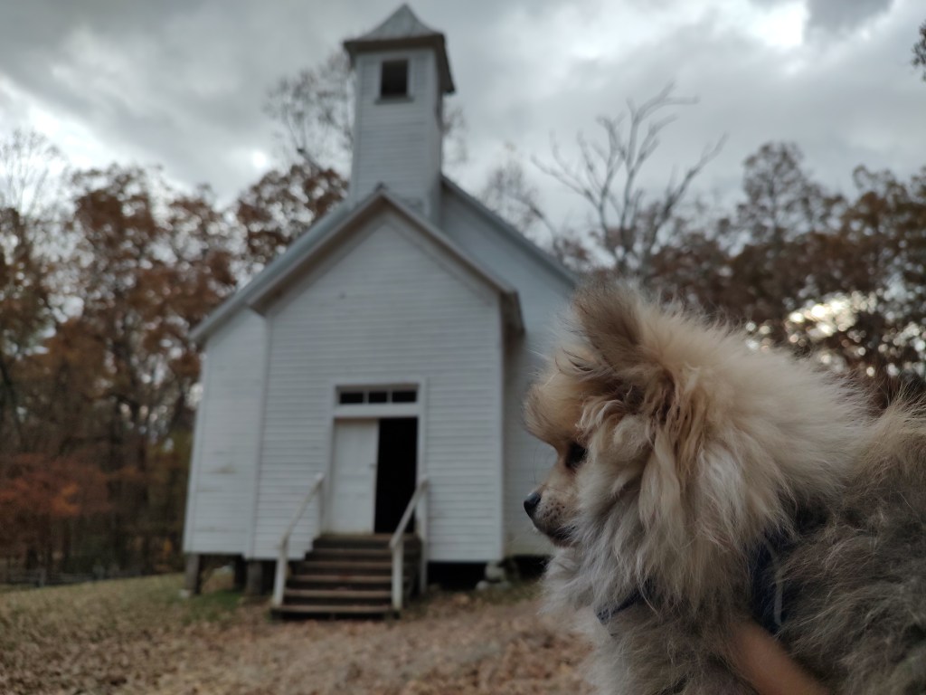 Post 14, Take Me to Church, I’ll Worship Like a&nbsp;Dog