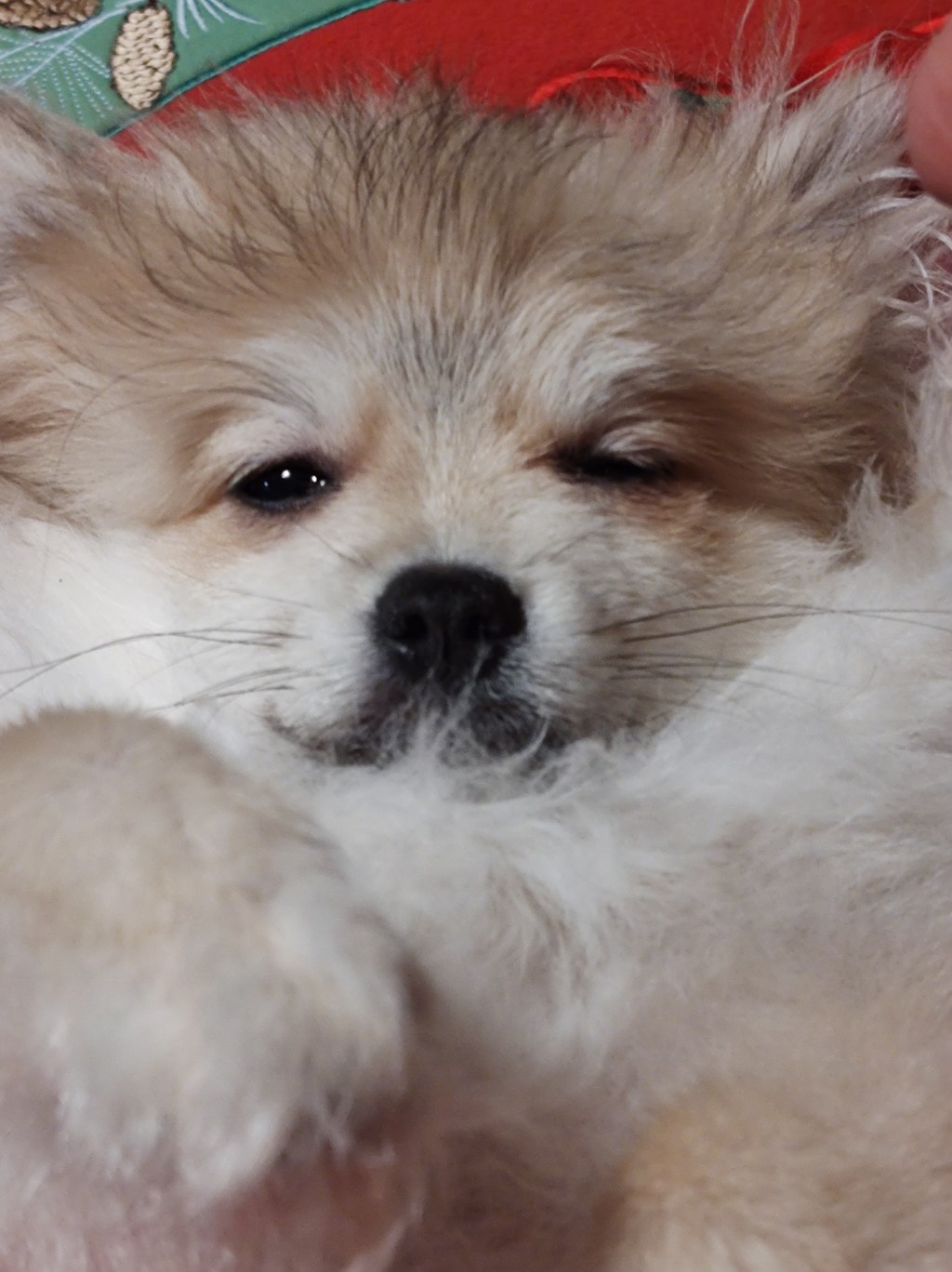 Post 22, Like a&nbsp;Boss