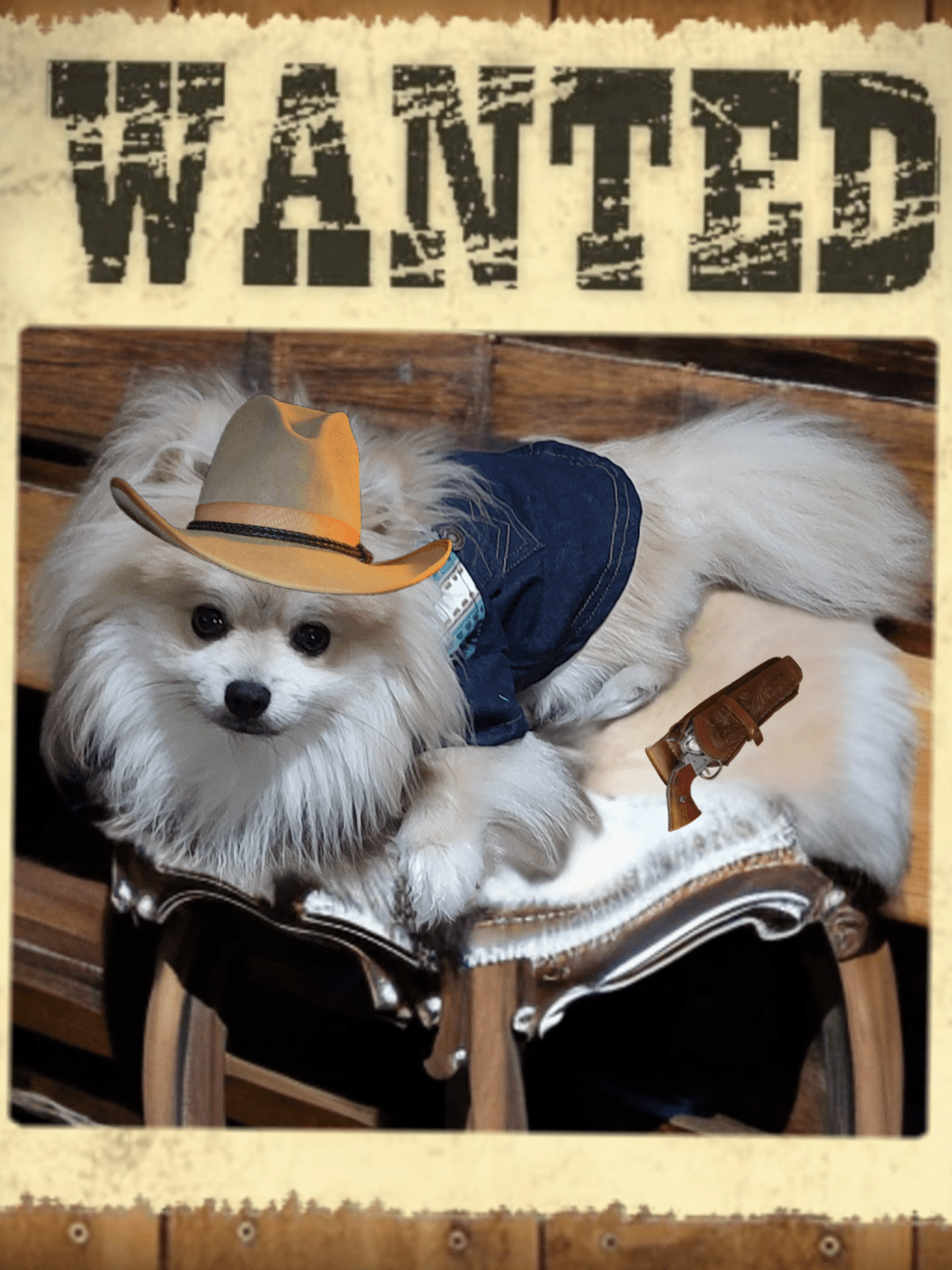 Post 35, Schnuggie of the Wild&nbsp;Frontier