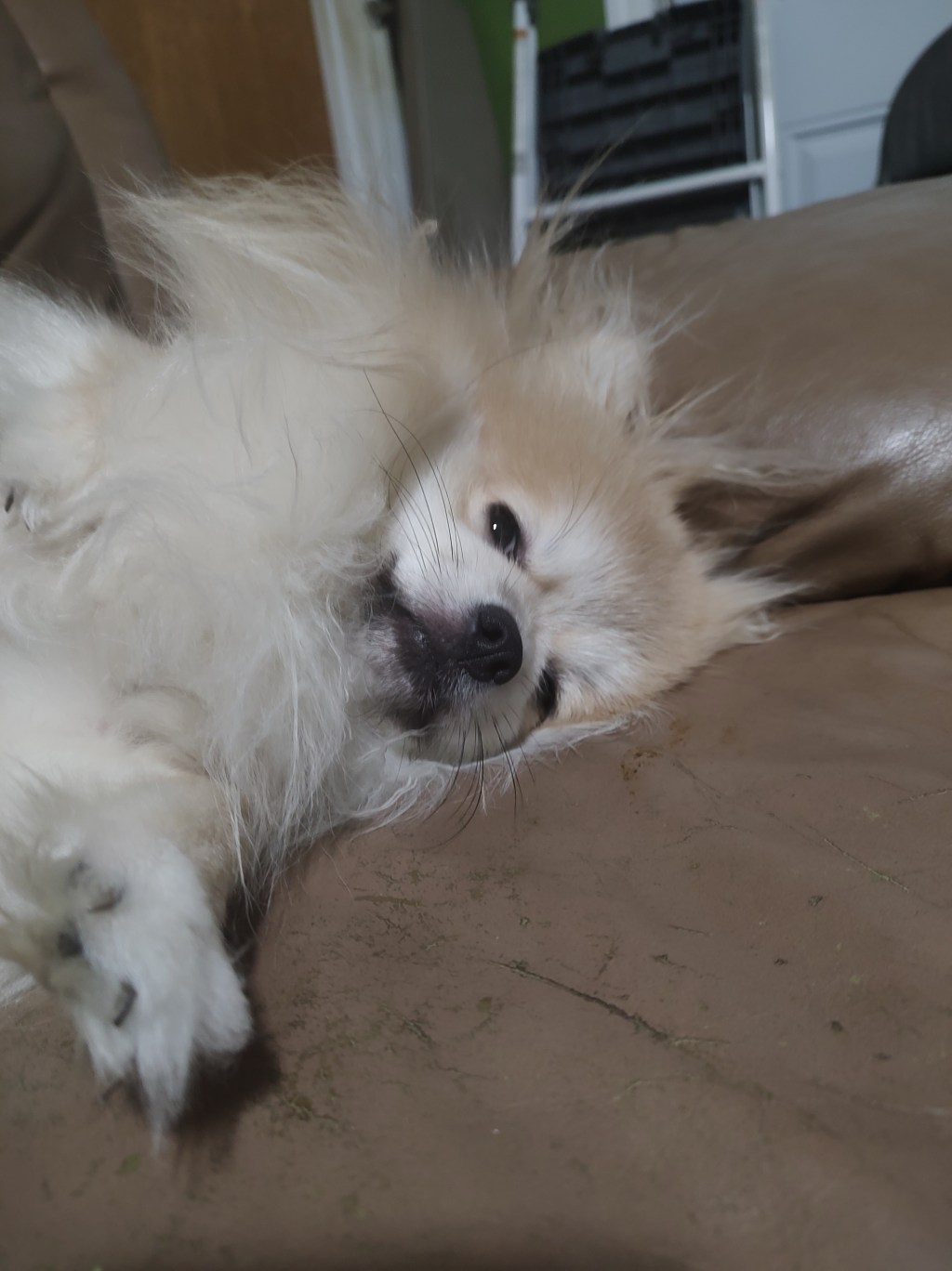 Post 37, Laying&nbsp;Down