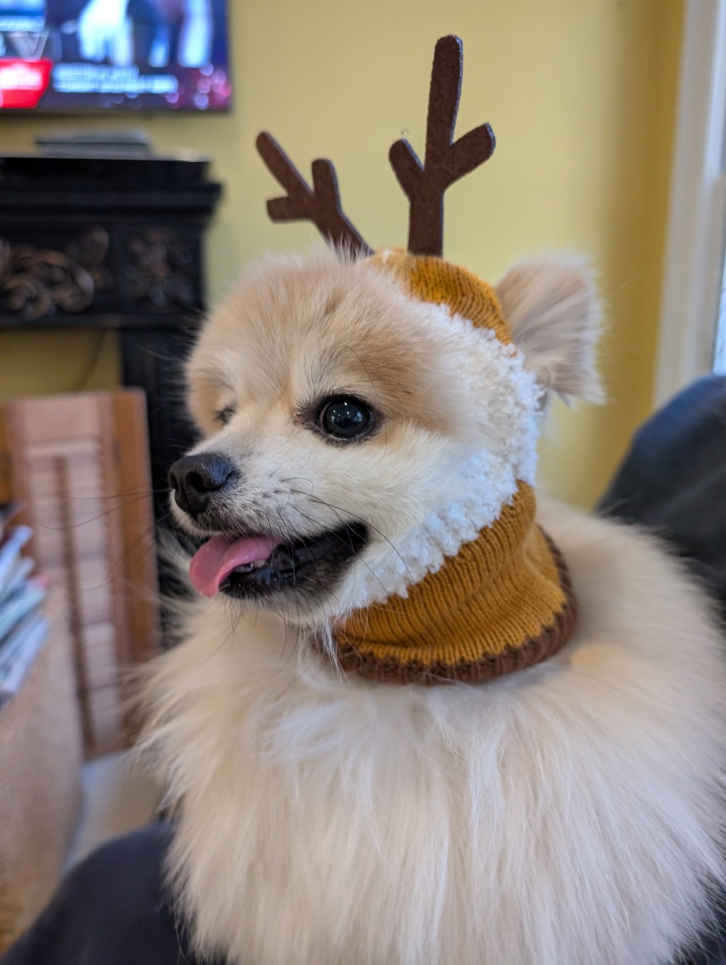 Post 52, Reindeer Hoodie