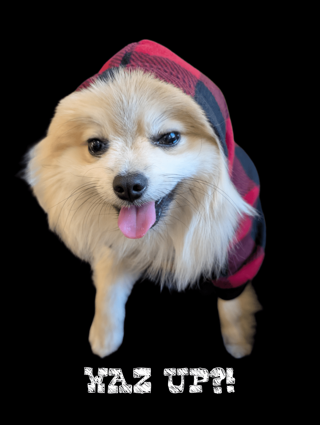 Post 51, Christmas Flannel Onesie!?