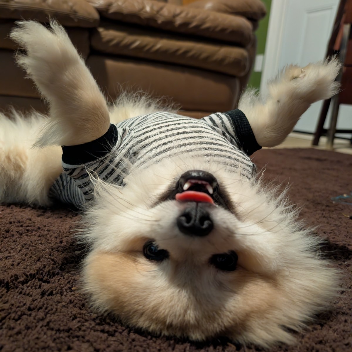 Post 64, Rebel&nbsp;Rebel