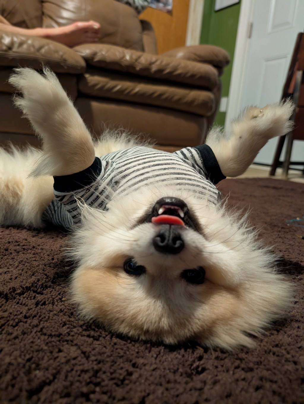 Post 64, Rebel&nbsp;Rebel