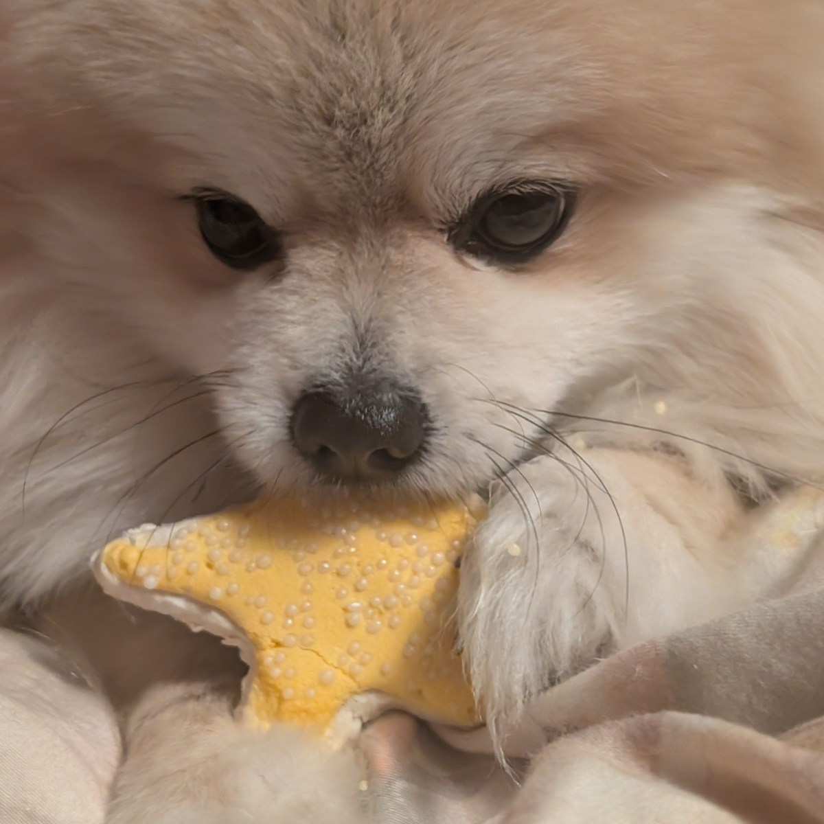 Post 73, Schnuggie’s, ‘I’ll have what she’s having.’&nbsp;moment.