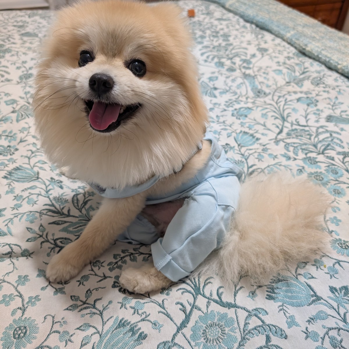 Post 75, Easter&nbsp;Overalls